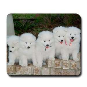  Samoyed Puppies Pets Mousepad by  Office 