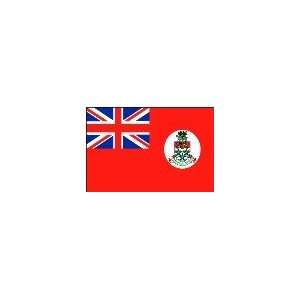  3 ft. x 5 ft. Cayman Island Flag Red Parade & Indoor 