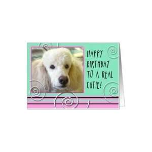  Birthday Girl Poodle Real Cutie Card Toys & Games