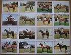 Great Racehorses Of Our Times Horse Racing Trading Cards Set Complete 