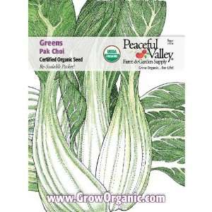  Organic Cabbage Seed Pack, Pak Choi: Patio, Lawn & Garden
