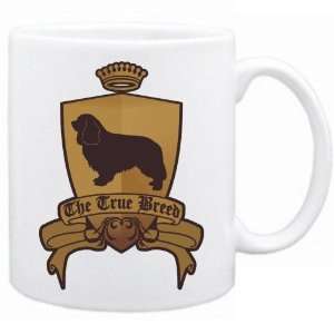   Cavalier King Charles Spaniels   The True Breed  Mug Dog: Home