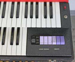 Elka Panther Duo Combo Electric Organ Keyboard w/ cases  