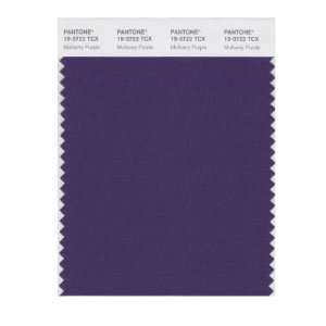  PANTONE SMART 19 3722X Color Swatch Card, Mulberry Purple 