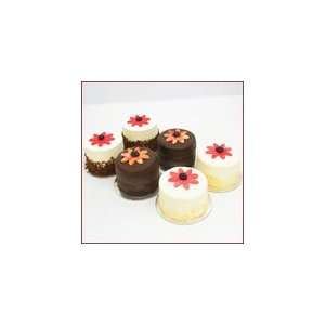 3IN Crazy Daisy Cake Sampler #3 Grocery & Gourmet Food