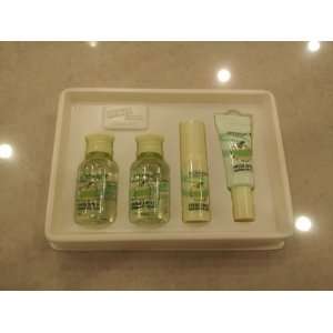 com Skin Food Fresh Apple Sparkling Pore Kit Gift Set (Toner,Emulsion 