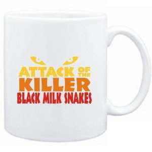   Attack of the killer Black Milk Snakes  Animals