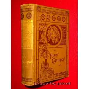  Don Gordons Shooting Box: Harry Castlemon: Books