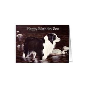  Birthday Son  Border Collie Dog Card Toys & Games
