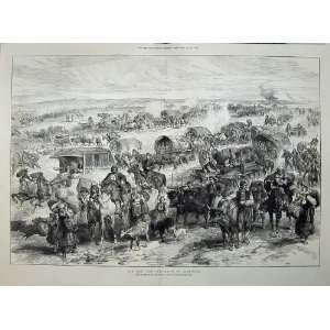  War 1876 Evacuation Alexinatz Cattle Horses People Goat 