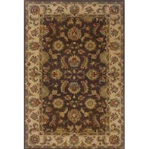   by Oriental Weavers Windsor 23110 12 X 15 Area Rug: Home & Kitchen