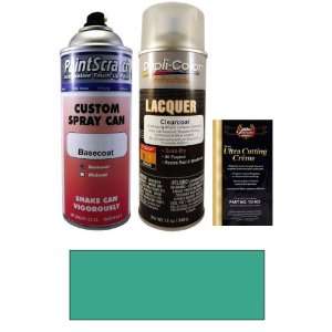   Spray Can Paint Kit for 1966 Ford Truck (B TRUCK (1966)) Automotive
