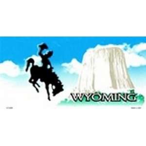  Wyoming State Background Blanks FLAT   Automotive License Plates 
