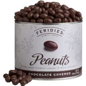 40 oz Can Chocolate Covered Peanuts  Grocery & Gourmet 