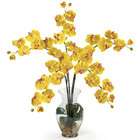   Phalaenopsis Liquid Illusion Silk Flower Arrangement Yellow