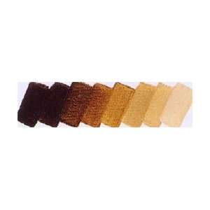  Resin Oil Color Raw Umber Light 35ml tube Arts, Crafts & Sewing