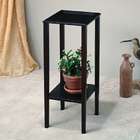 Asia Direct Cherry finish wood side table plant stand
