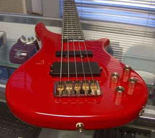 Douglas 5 String Electric Bass w/Pro Setup MINT BIN NR  