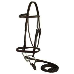   : Gatsby Leather 118 H Square Raised Bridle Horse: Sports & Outdoors