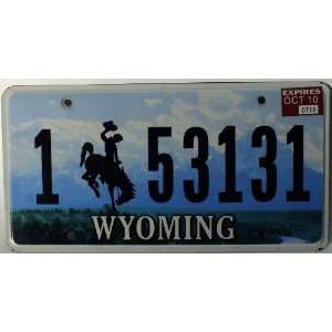   Non Emobssed License Plate with Black Bucking Bronco 