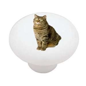  Tabby Tom Cat Decorative High Gloss Ceramic Drawer Knob 