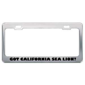 Got California Sea Lion? Animals Pets Metal License Plate Frame Holder 