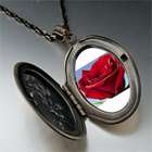 Pugster Valentines Day  Red Rose Mouse Photo Large Pendant Necklace