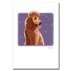  Grrreen Apricot Standard Poodle Note Cards Everything 