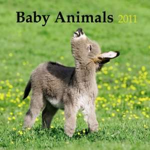  Baby Animals 2011 Mini Wall Calendar