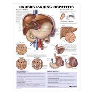  Understanding Hepatitis Chart: Industrial & Scientific