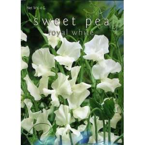  Sweet Pea, Royal White Patio, Lawn & Garden
