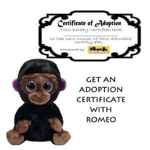    Ty Romeo Beanie Baby Boo with Adoption Certificate: Toys & Games