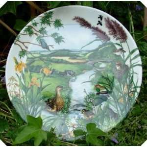    Wedgwood C Newman Plate Meandering Stream 1987: Home & Kitchen