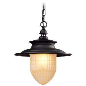  Quincy Collection 13 3/4 High Outdoor Hanging Light: Home 