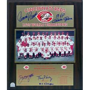   Big Red Machine 1975 Autographed Healy Plaque: Sports & Outdoors