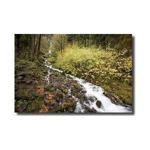   River Gorge National Scenic Area Oregon Giclee Print: Home & Kitchen