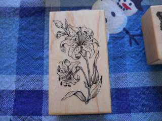 Rubber Stamp PSX D 076 Tiger Lily Flowers Super Detailed Bloom 
