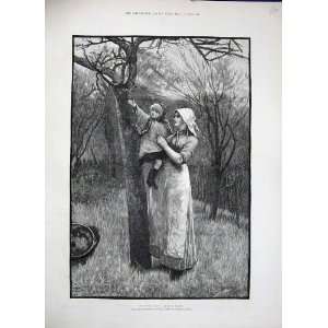   1884 John White Fine Art Mother Little Girl Trees Bud: Home & Kitchen