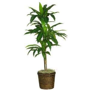   48 Inch Dracaena w/Basket Silk Plant (Real Touch): Home & Kitchen