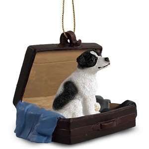  Jack Russell Terrier Smooth Black/White Traveling 