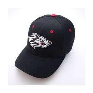  New Mexico Lobos Alternative Fitted Logo Hat (Black 