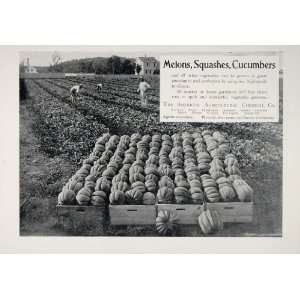   Chemical Melon Farm Field   Original Print Ad