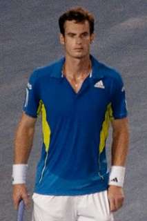 professional tennis player andy murray