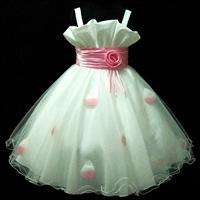   Pink Christmas Wedding Bridesmaid Flowers Girls Pageant Dress SZ 2 3T
