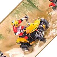 ATV 4 Wheeler WALL BORDER! Extreme XGames Motor Sports!  