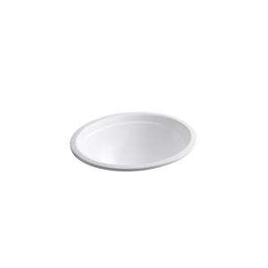   Vitreous China Bathroom Sink in White K 2319 0 at The Home Depot