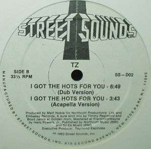PROMO* TZ   I Got The Hots For You *BOOGIE, ELECTRO* 83  