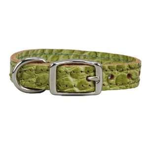  Croco   Faux Crocodile Leather Collar   1/2 inch: Green 