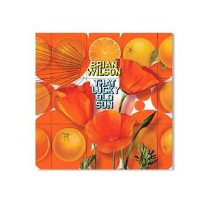 BRIAN WILSON That Lucky Old Sun w/exclusive tracks (3)