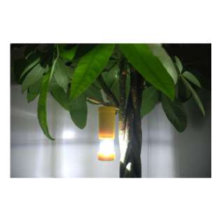 Bright CREE 1W LED Flashlight Torch & Lantern Light  